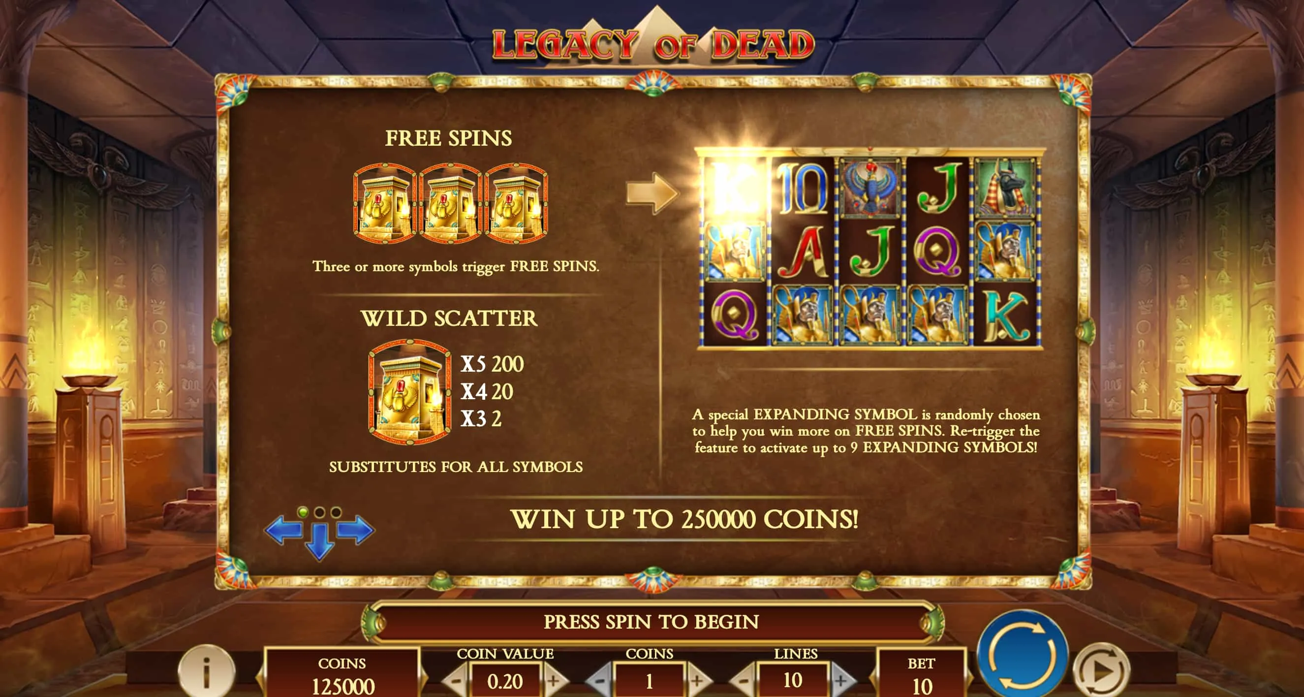 Top 5 Casinos kurz vorgestellt